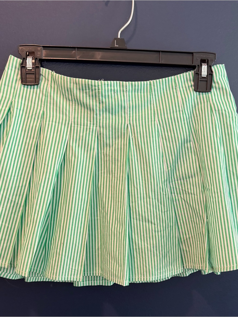 AKIRA Mint Green & White Striped Pleated Skater Skirt